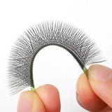 W Lashes Premade Fans (Black/Brown) 0.07MM