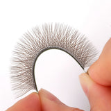 W Lashes Premade Fans (Black/Brown) 0.07MM