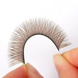 YY Lashes Premade Fans (Black/Brown) 0.05MM/0.07MM