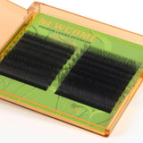 YY Lashes Premade Fans (Black/Brown) 0.05MM/0.07MM